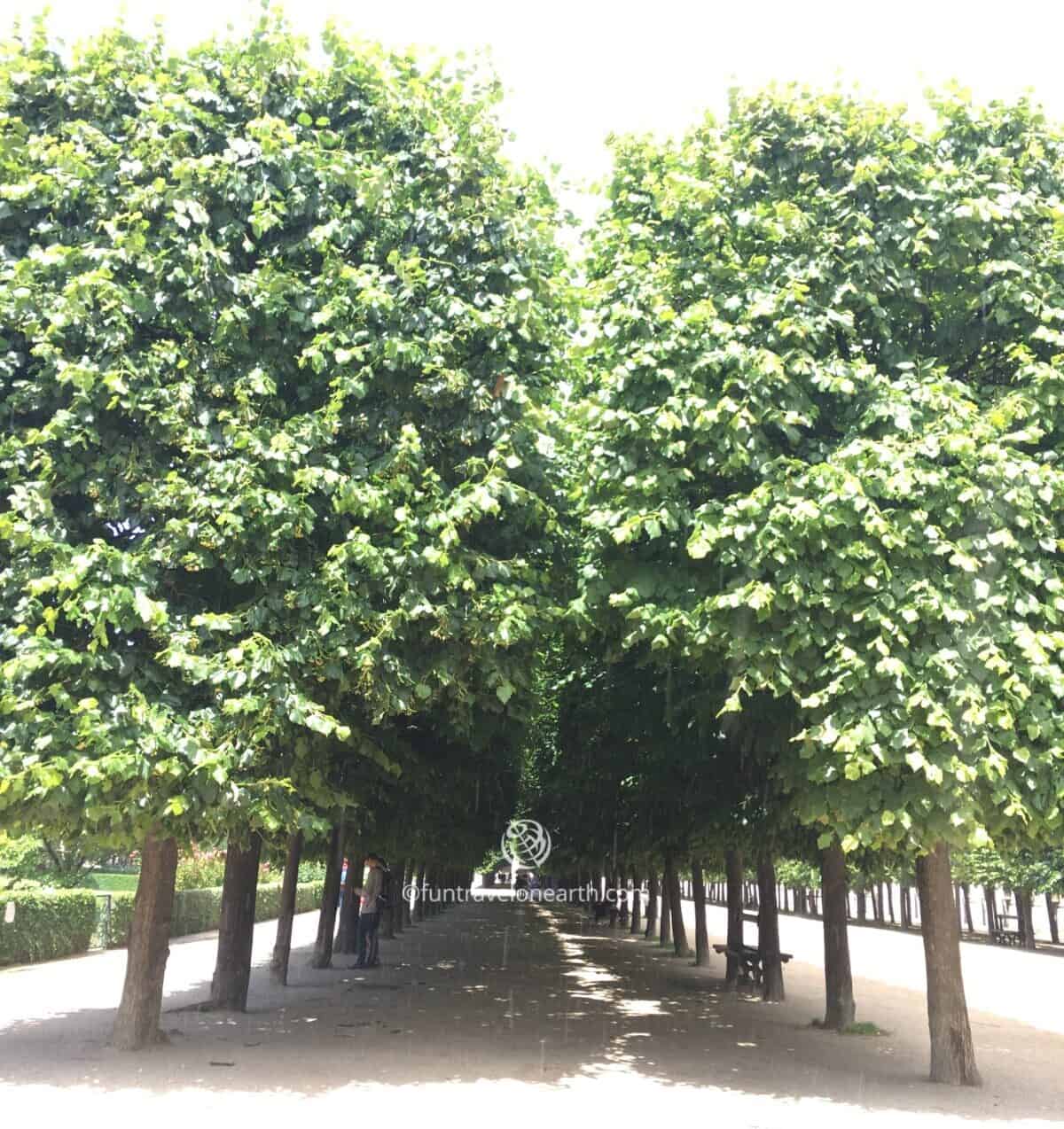Jardin du Palais Royal パレ・ロワイヤル庭園, Paris, France