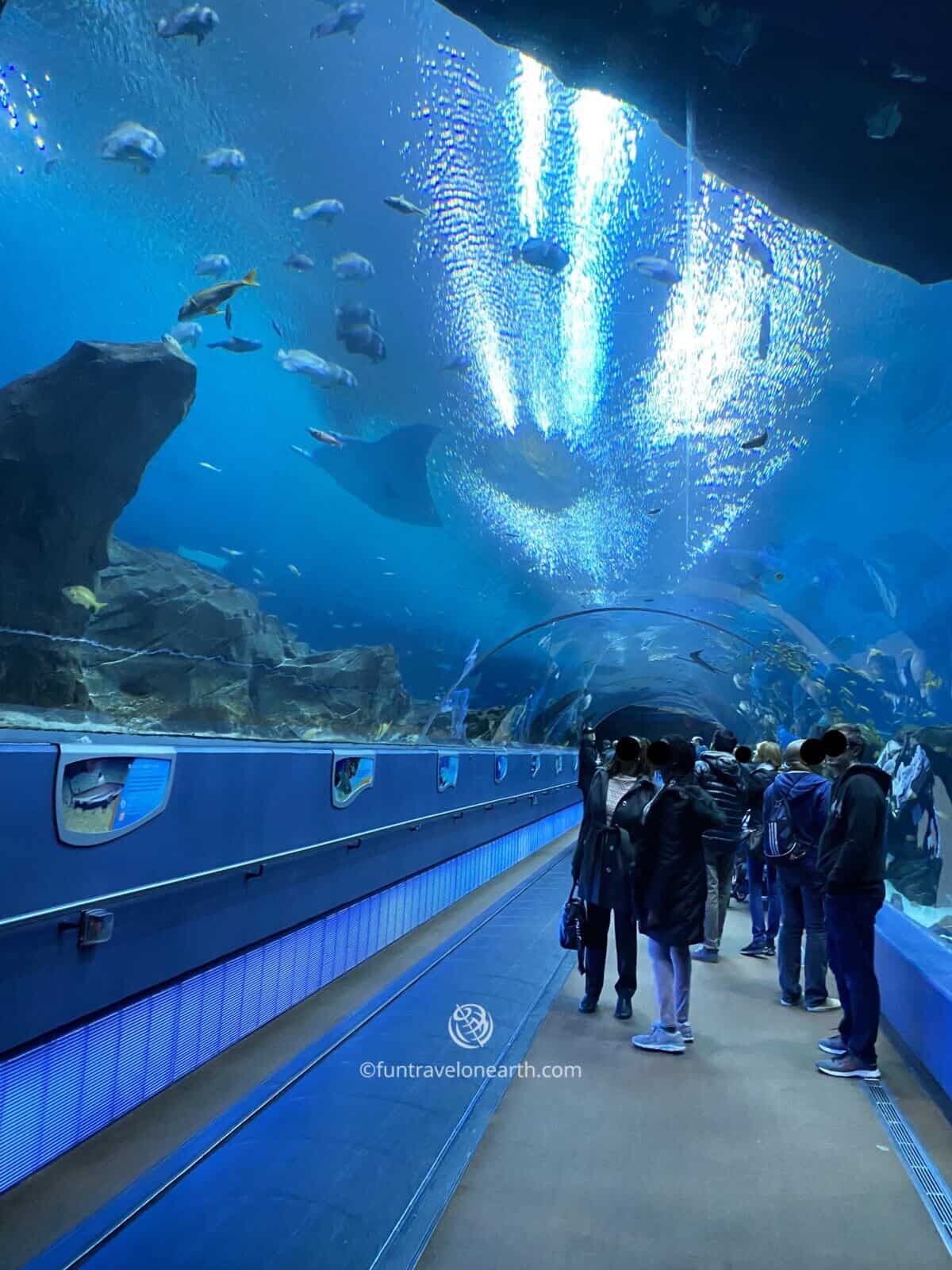 Georgia Aquarium, ジョージア水族館, GEORGIA, U.S.