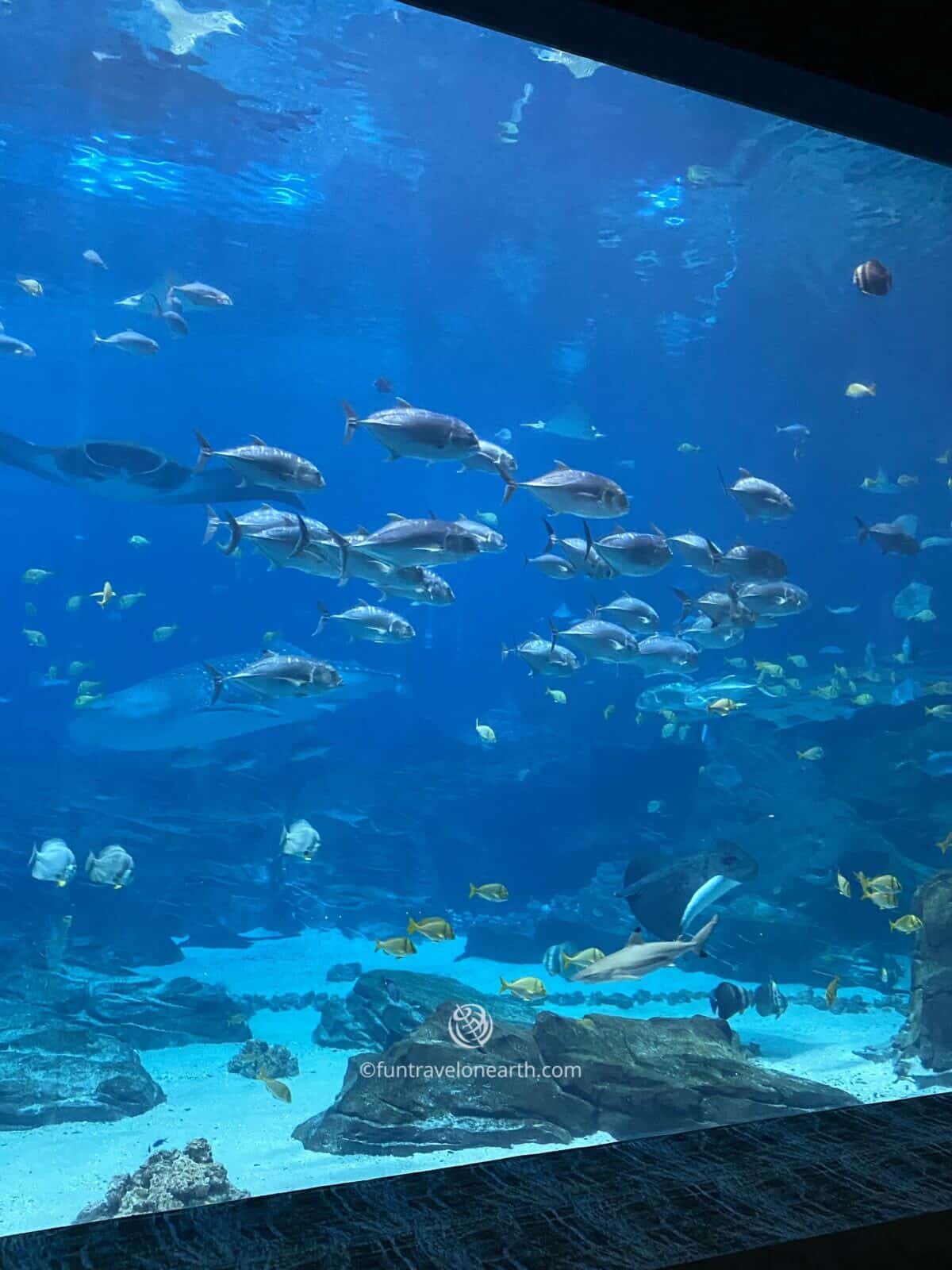 Georgia Aquarium, GEORGIA, U.S.
