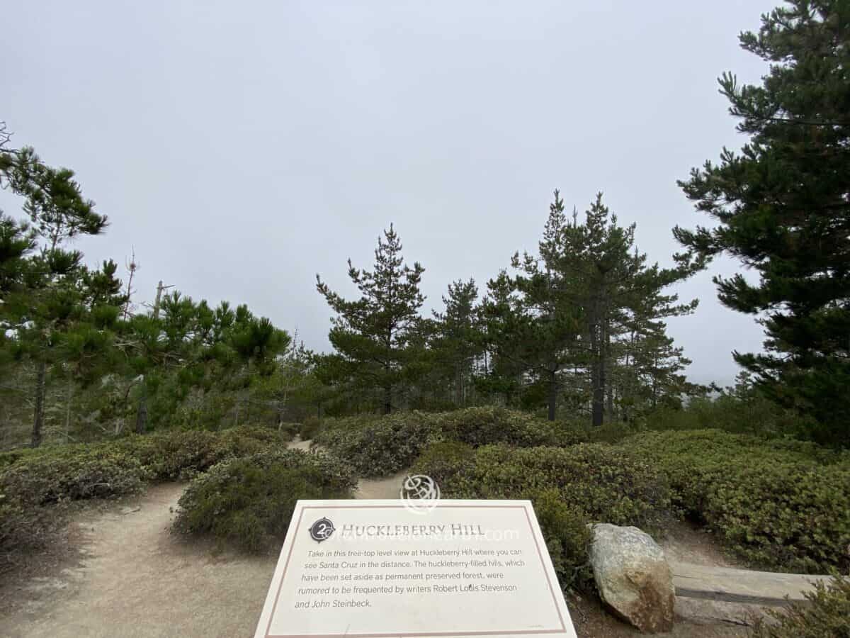 HUCKLEBERRY HILL, 17-Mile Drive, Pacific Grove, CA, U.S.