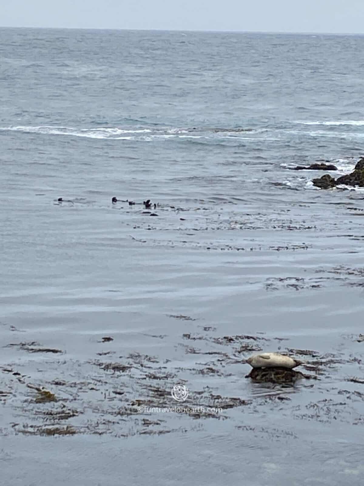 17-Mile Drive, Pacific Grove, CA, U.S.