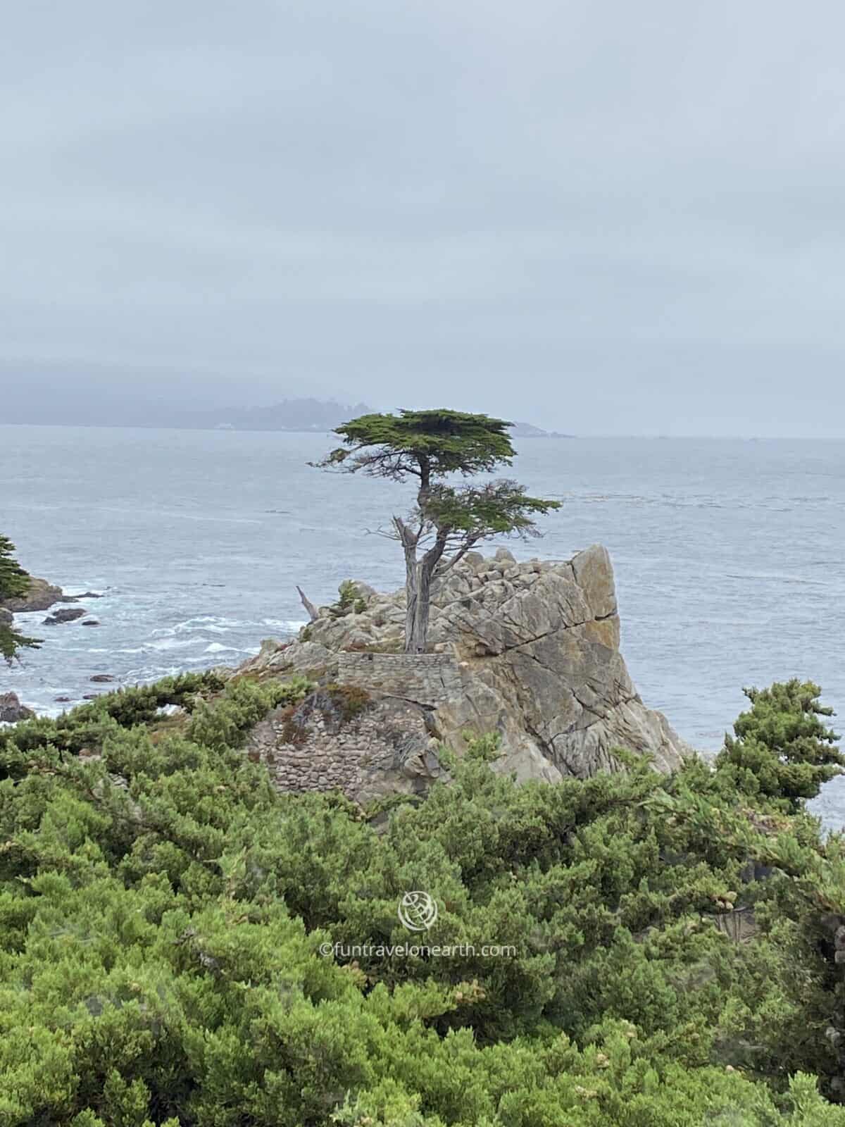 THE LONE CYPRESS, 17-Mile Drive, Pacific Grove, CA, U.S.