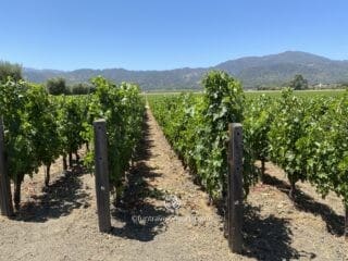 Opus One Winery, CA, U.S.