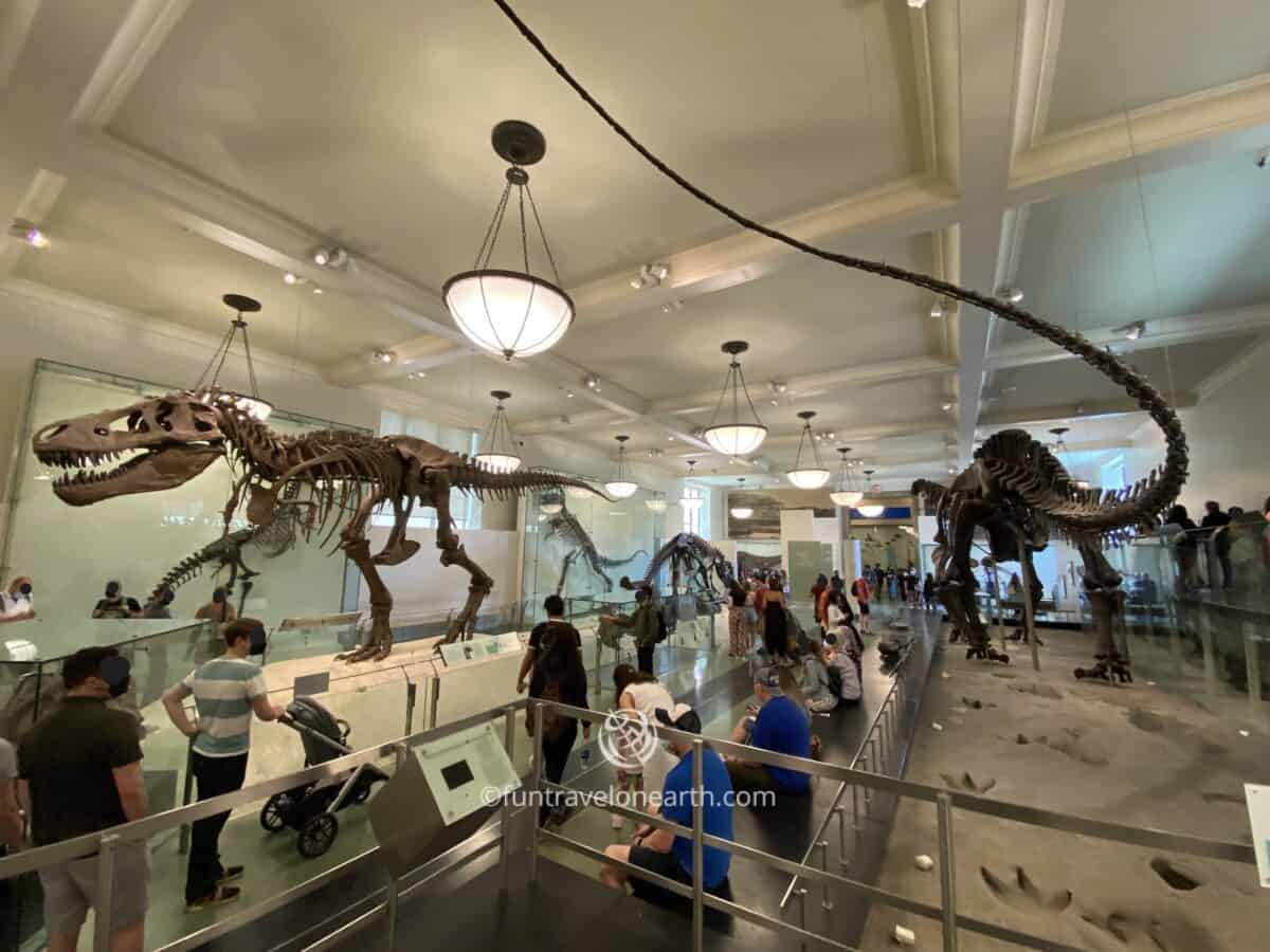 Hall of Saurischian Dinosaurs, American Museum of Natural History, New York
