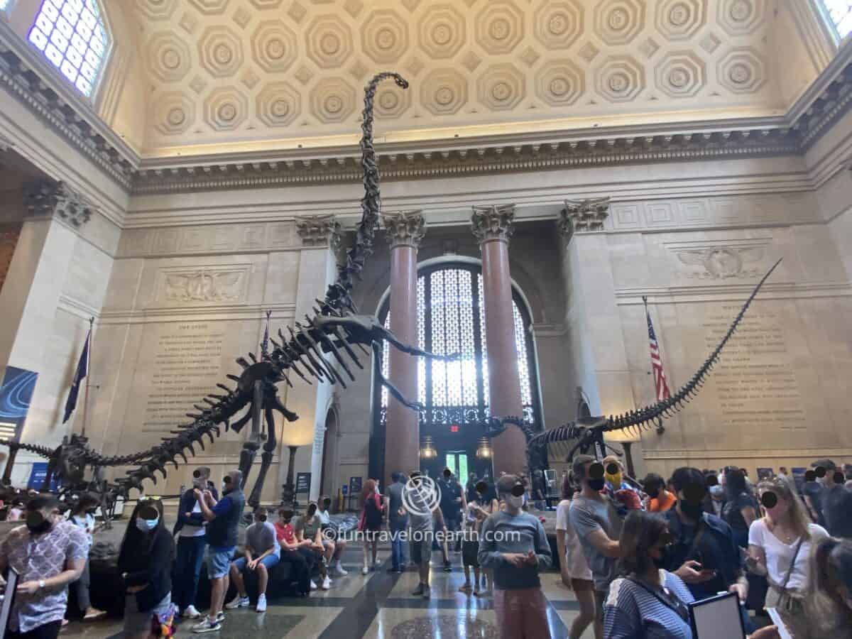 American Museum of Natural History, New York