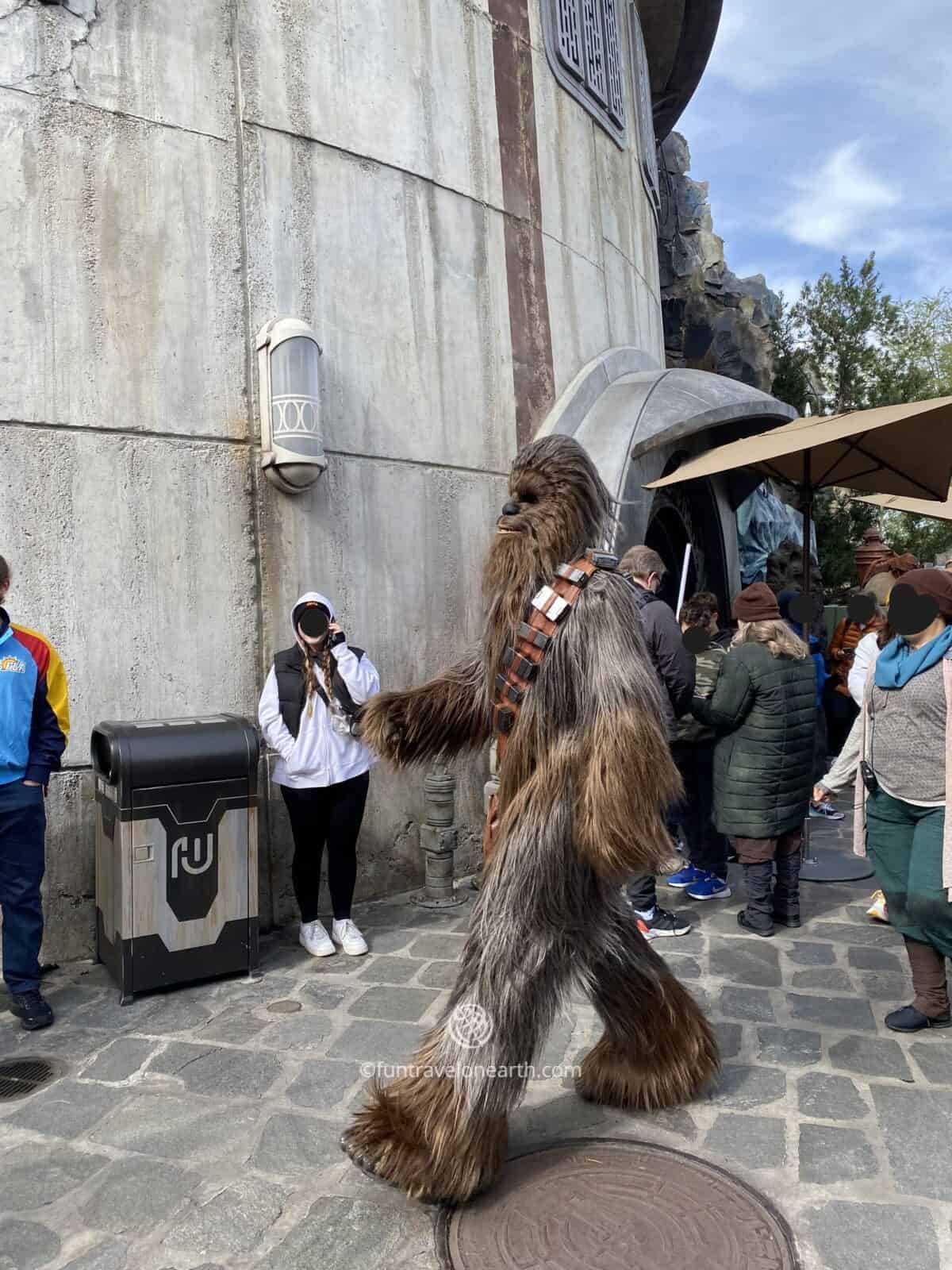 Chewbacca, Disney's Hollywood Studios