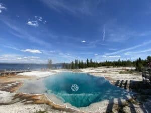 Thumb Geyser, Yellowstone National Park, WY, U.S.