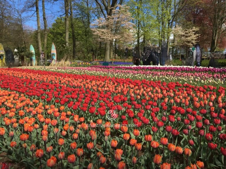 Keukenhof, Netherlands