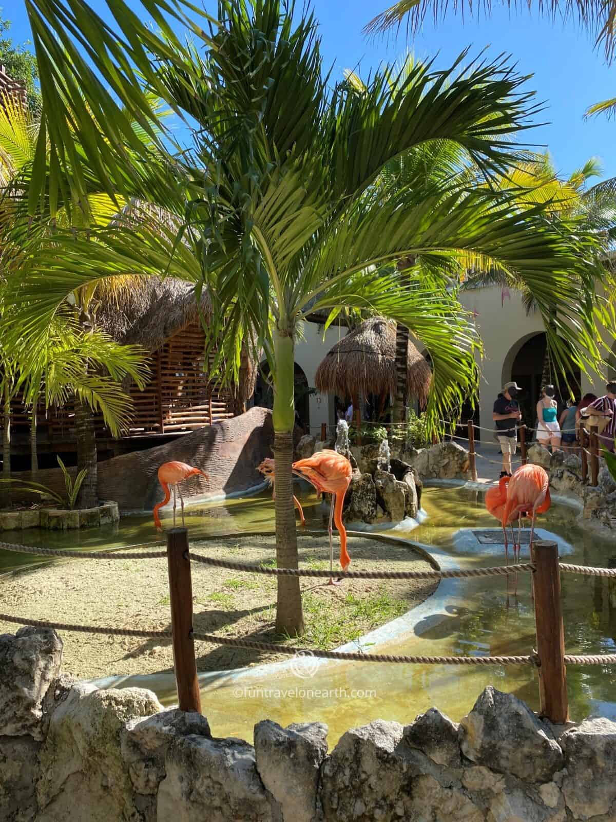 Costa Maya Port Mexico